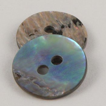 10mm New Zealand Paua Abalone Shell 2 Hole Button