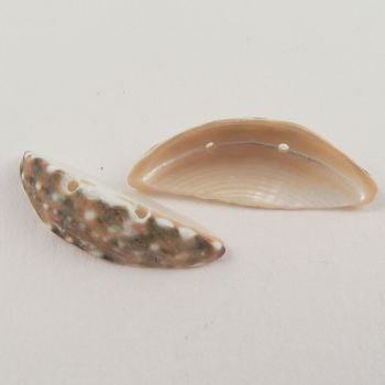27mm Oblong Cup Sea Shell 2 Hole Button