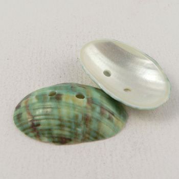 30mm Grooved Green Sea Shell 2 Hole Button