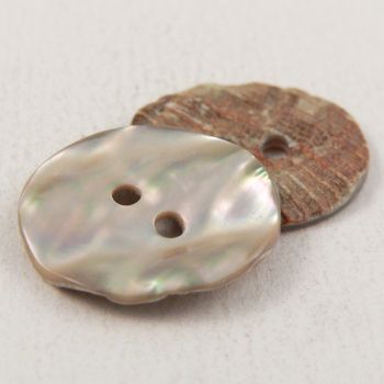 25mm Abalone Shell 2 Hole Button