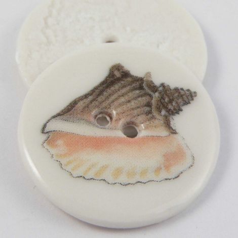 29mm Ceramic Queen Conch Shell 2 Hole Button