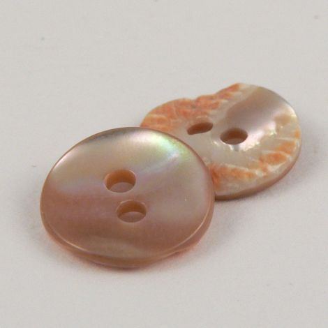 10mm Abalone Shell 2 Hole Button