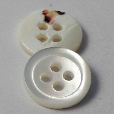 13mm Pearl White Trochus Shell Shirt 4 Hole Button